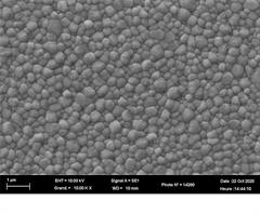 Distribution fine des grains de la zircone 3Y-TZP